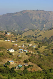 AFS, Shakaland