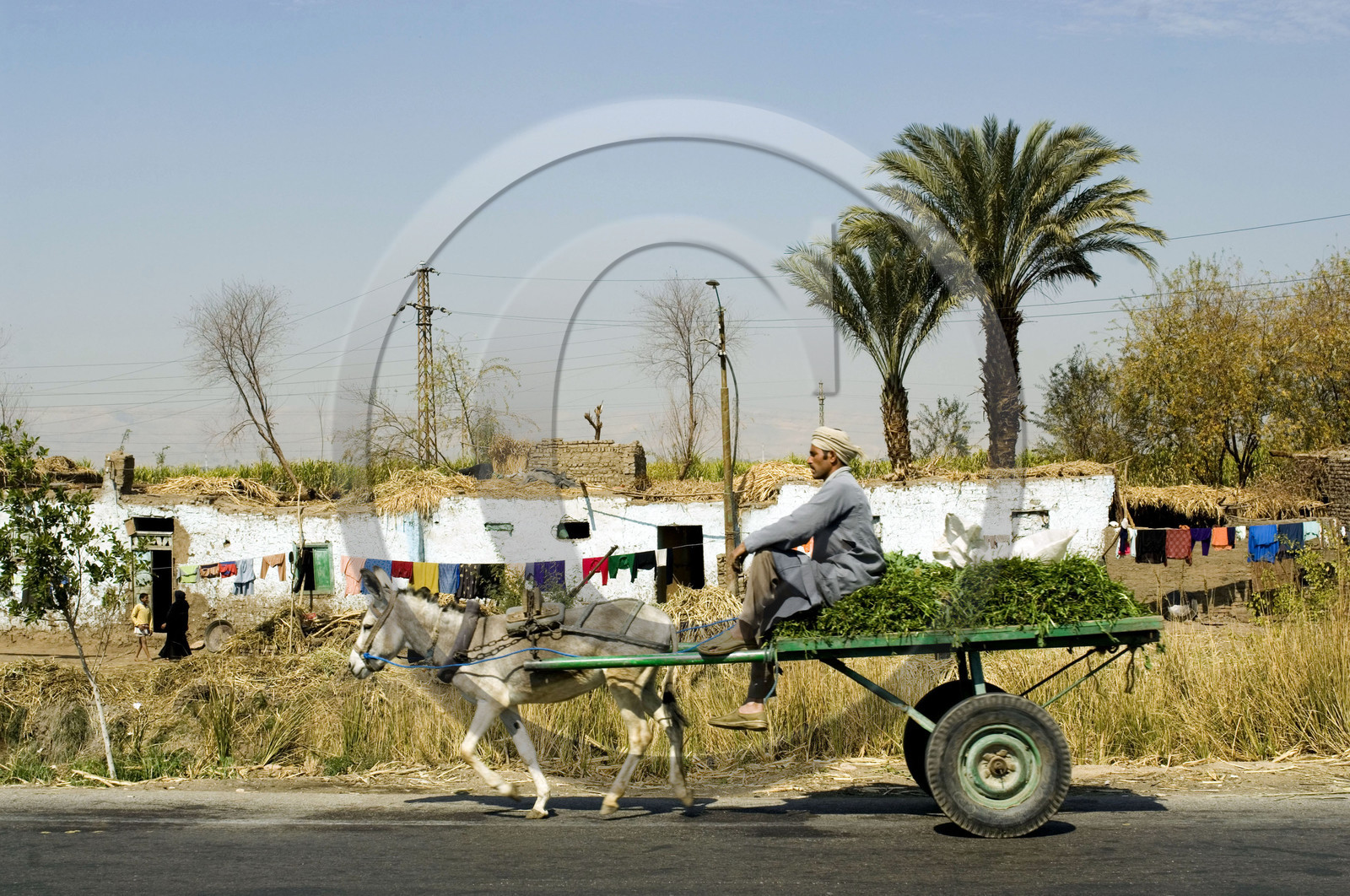 Egypte, Vallée du Nil