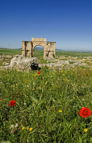Volubilis, Morokko