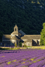 France, Senanque