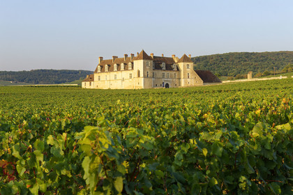 France, Vougeot