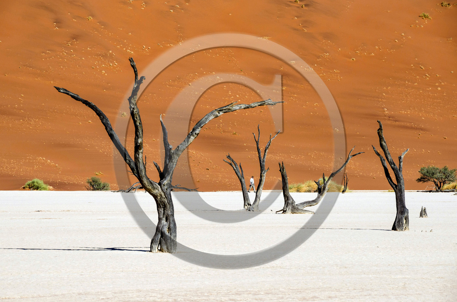 Namibie, Sossusvlei