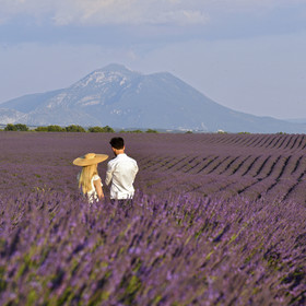 France, Valensole
