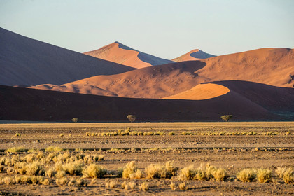 Namibie, Sossusvlei