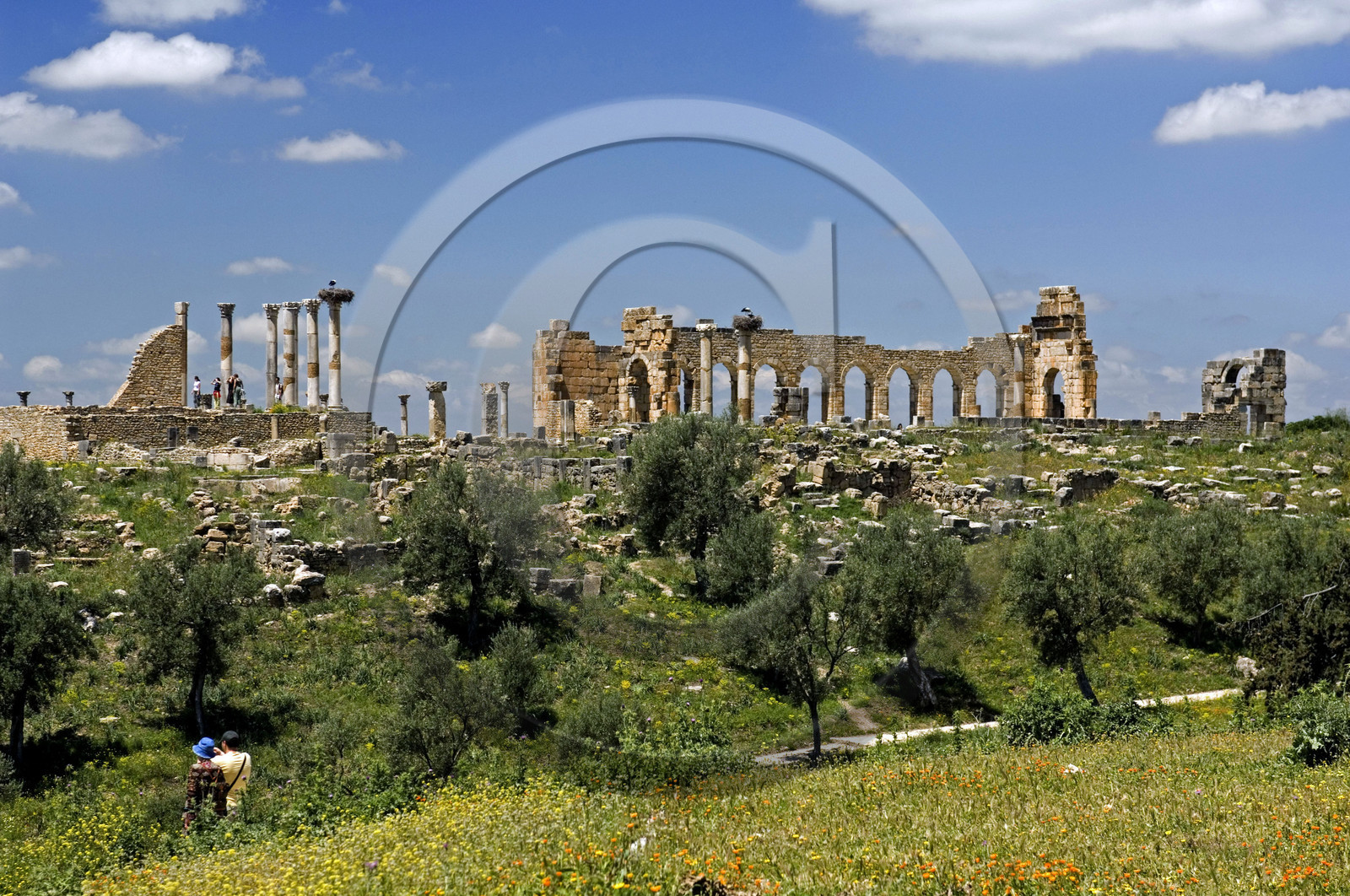 Volubilis, Morokko