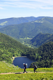 France, Vosges