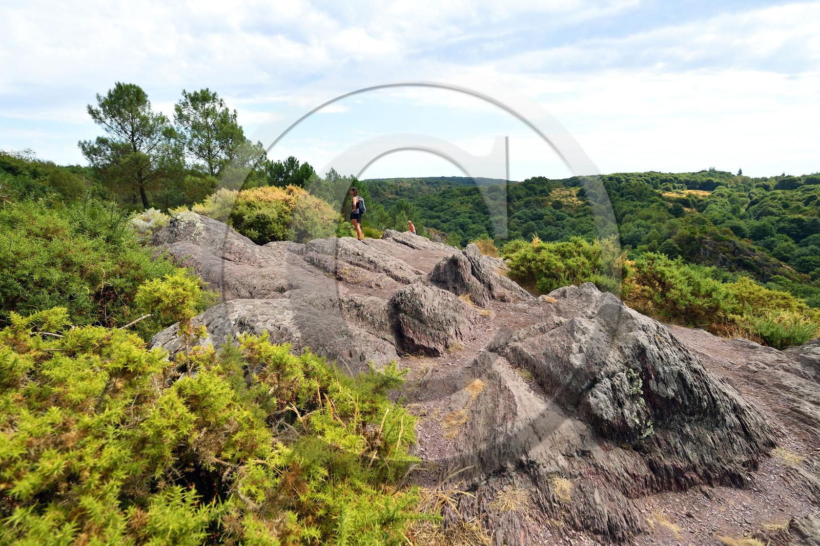 France, Brocéliande