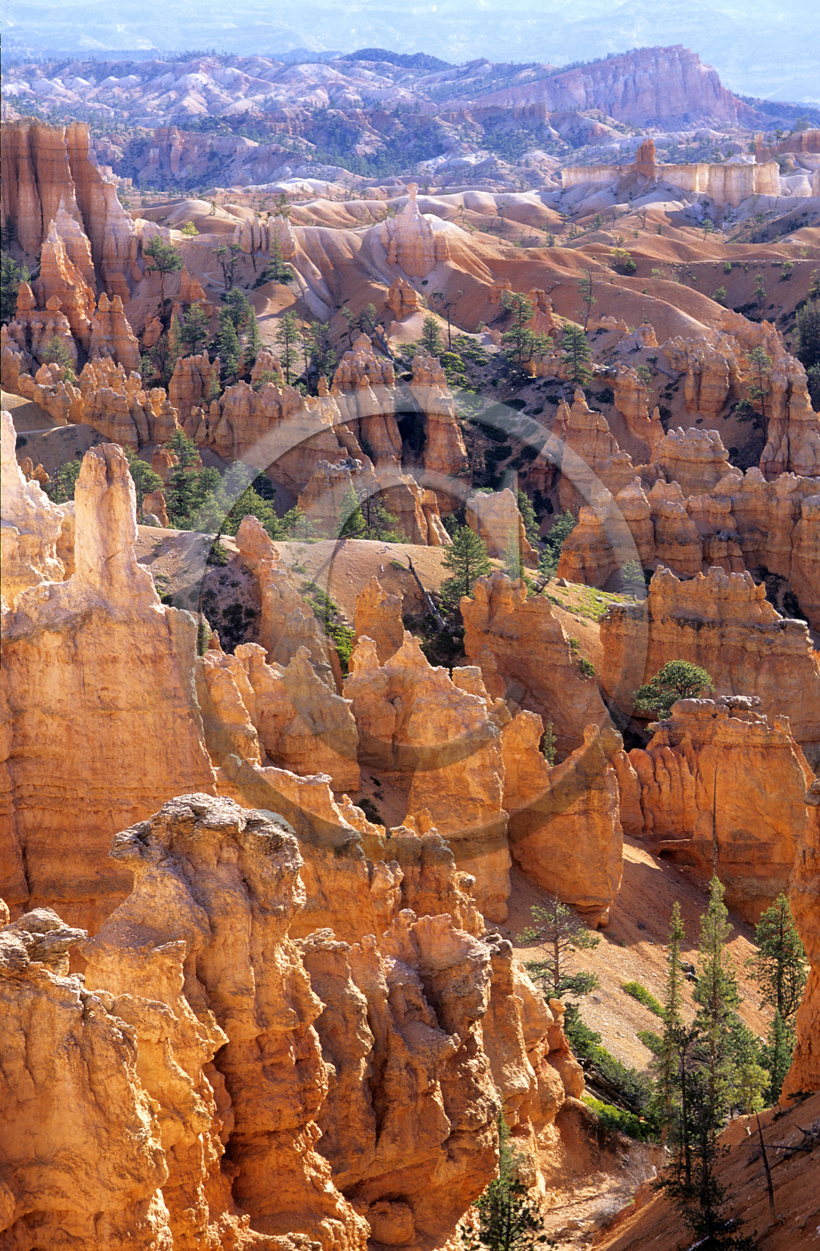Bryce, USA
