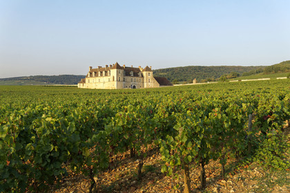 France, Vougeot