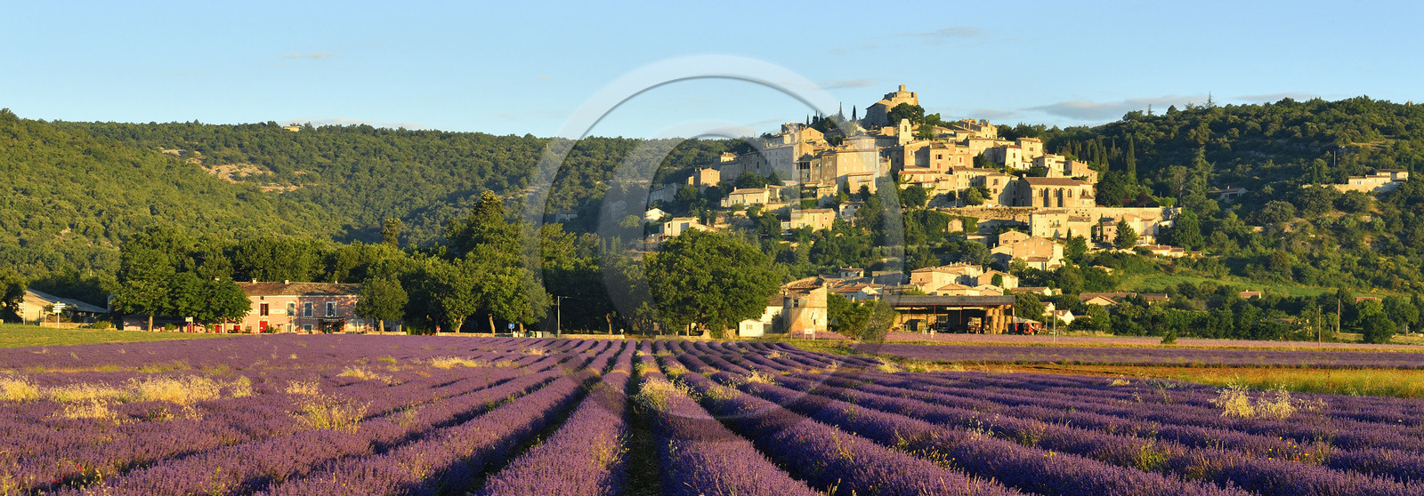 France, Simiane la Rotonde
