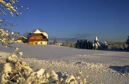 FORET NOIRE. ALLEMAGNE
