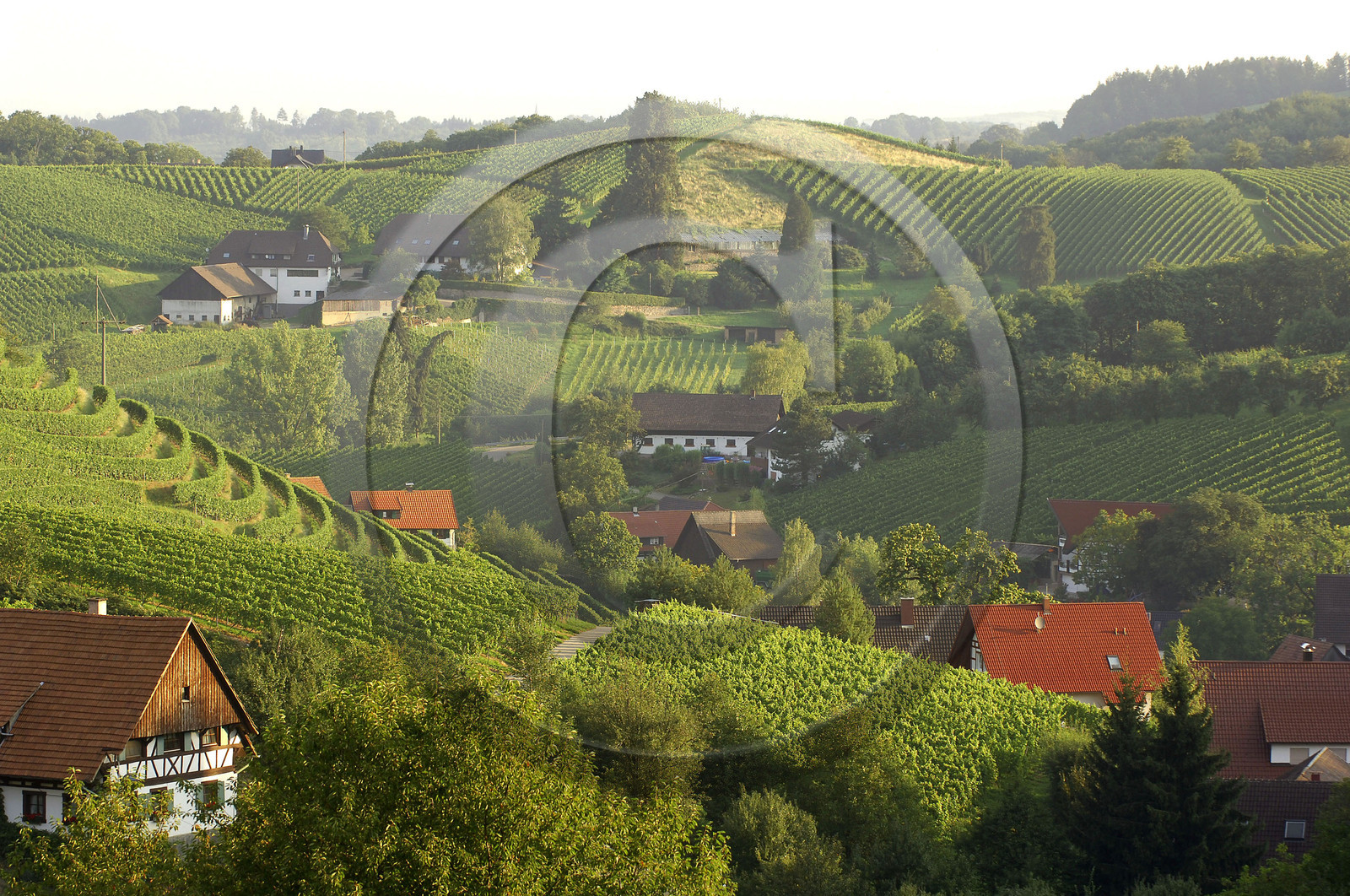 Black Forest, Germany