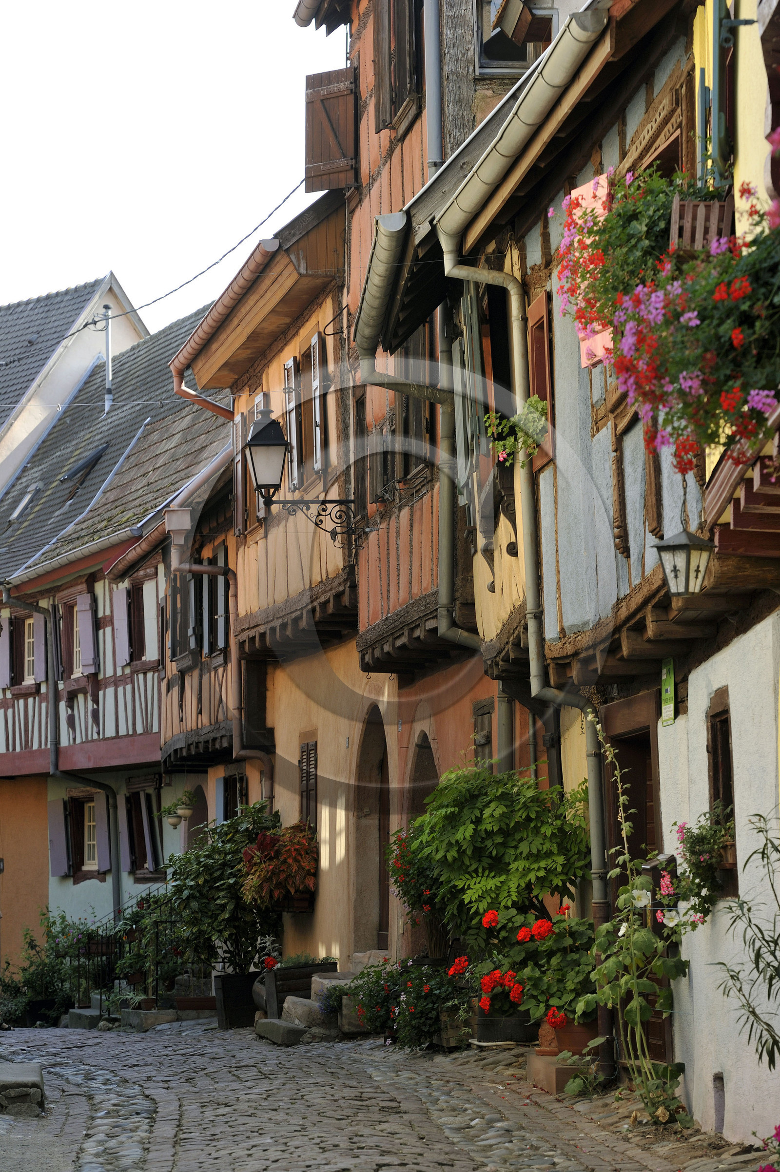 France, Eguisheim