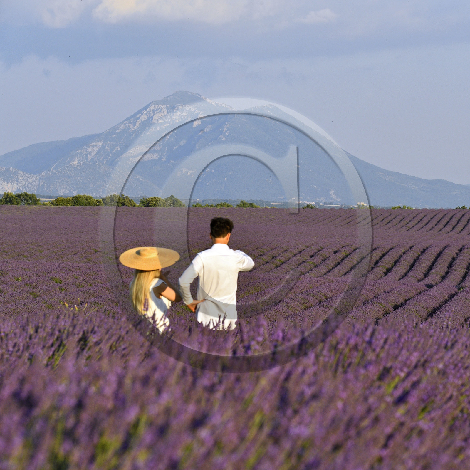 France, Valensole