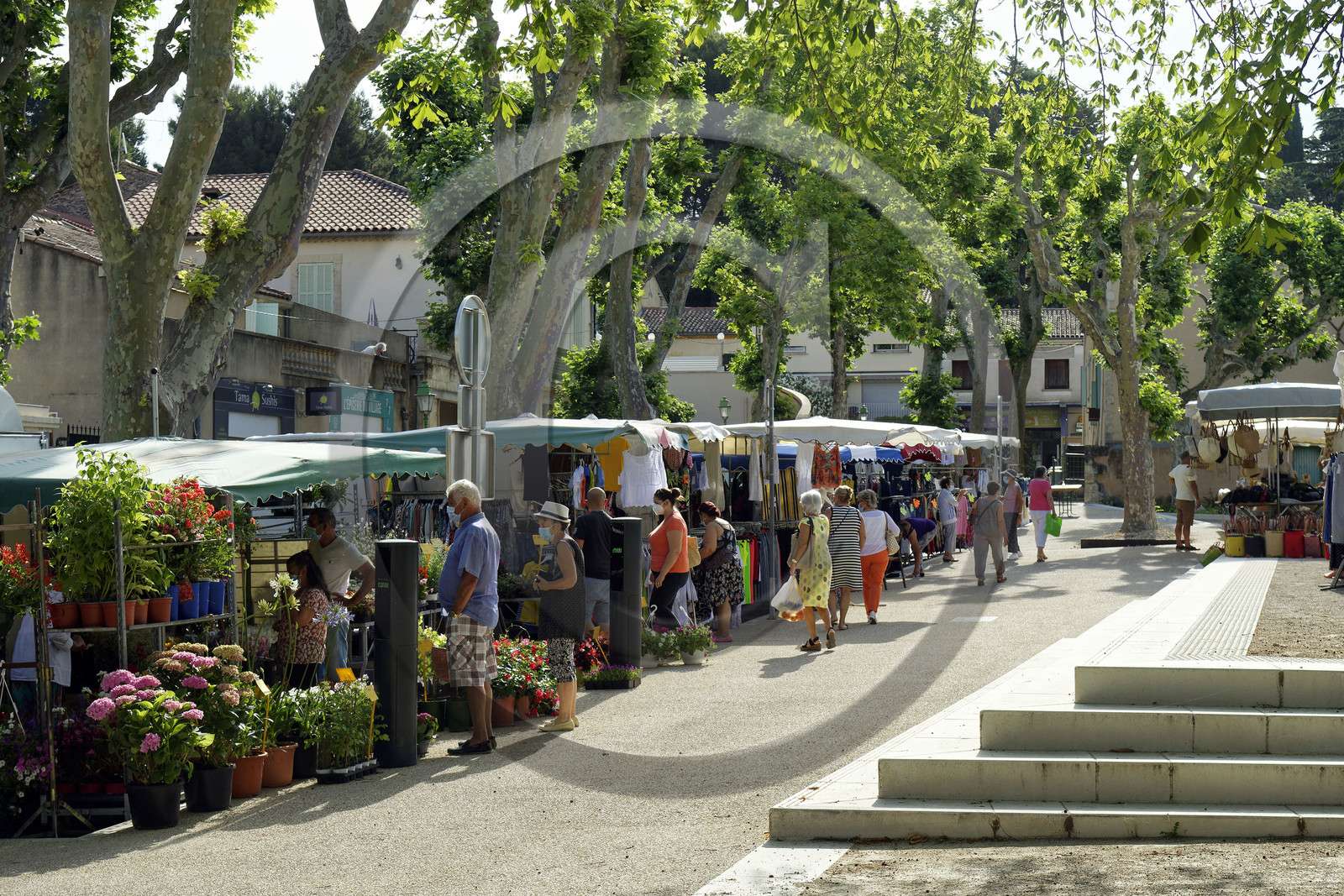 France, Salon de Provence