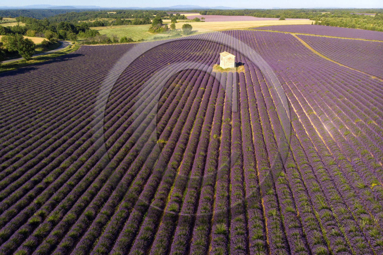 France, Valensole