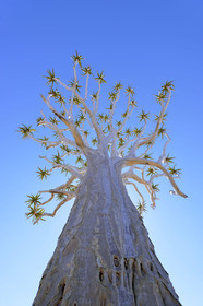 Namibie, Fish River Canyon