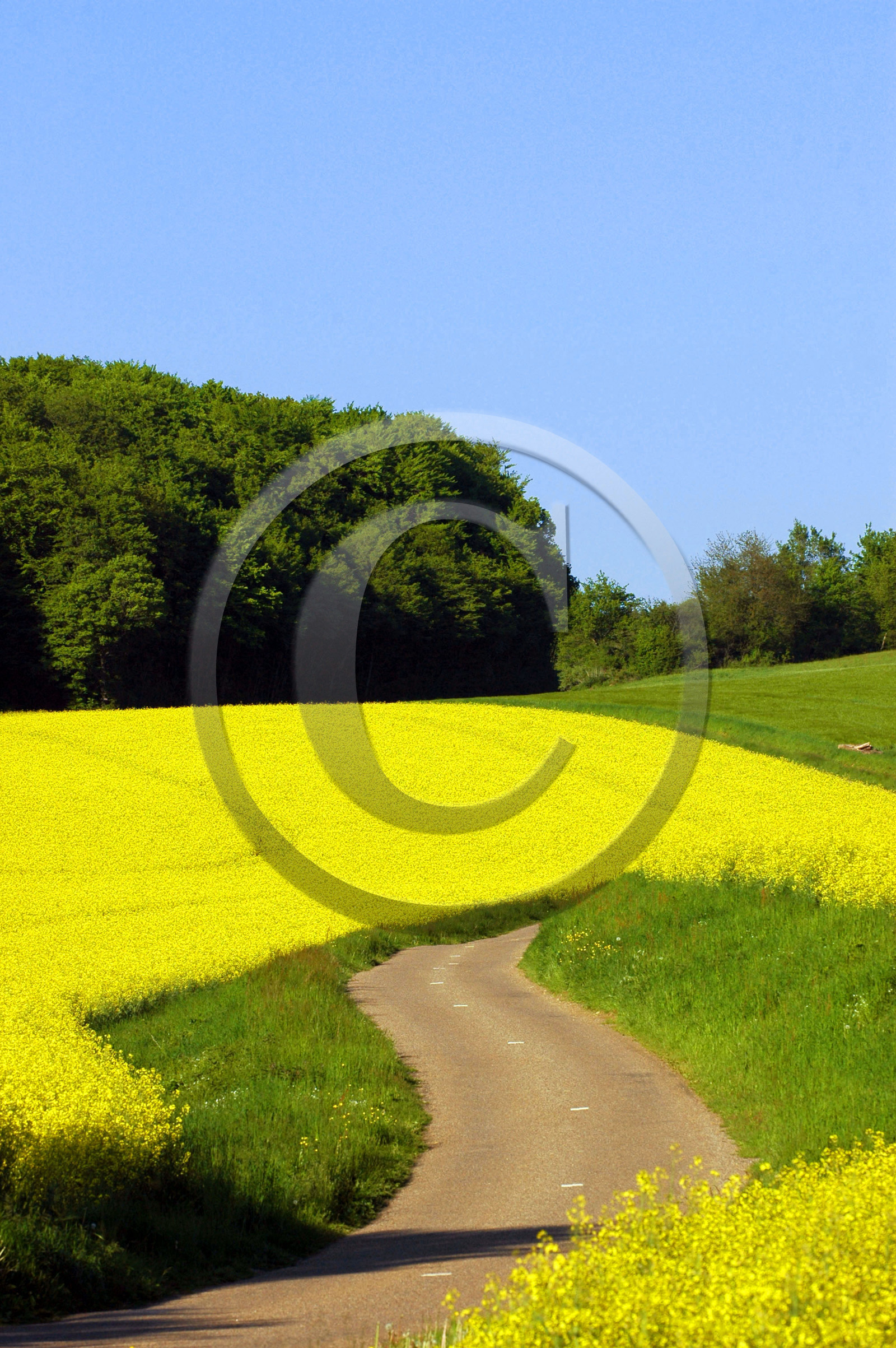 Franche-Comte, France