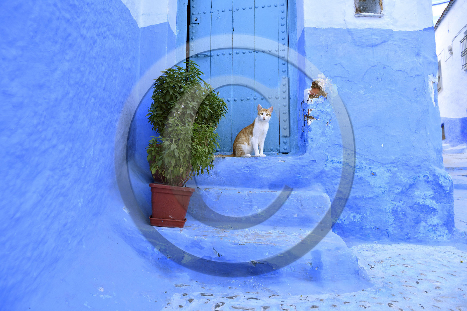 Maroc, Chefchaouen