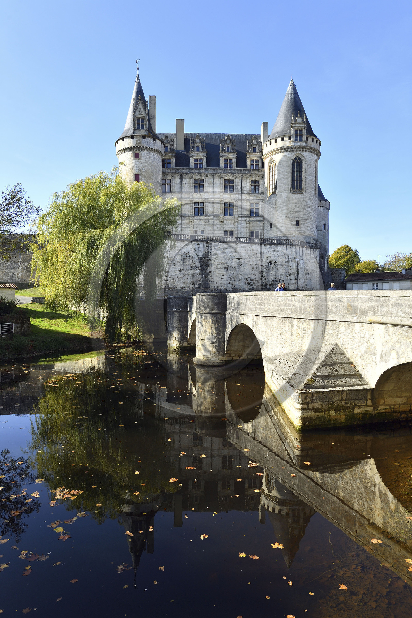 France charente rochefoucauld chateau surplombant tardoire