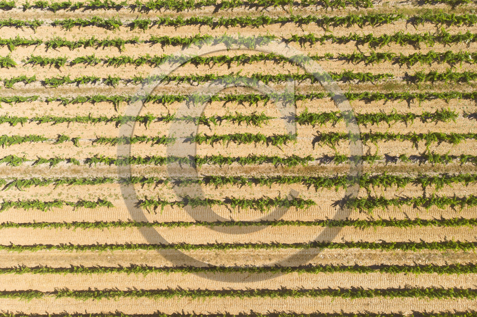 France, Suze la Rousse