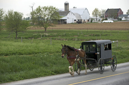 USA, Amish