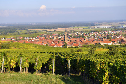 France, Dambach la Ville