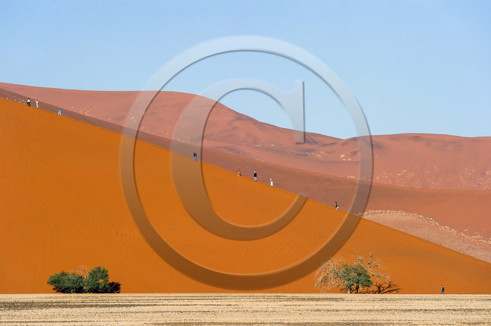 Namibie, Sossusvlei