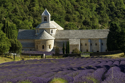 France, Senanque