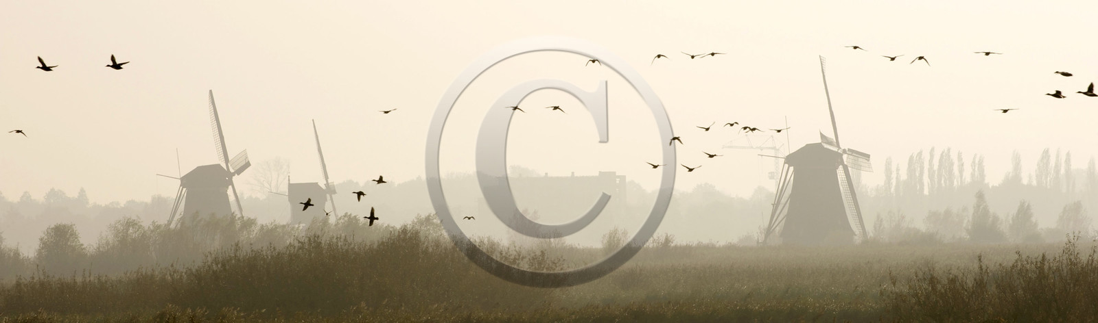 Hollande, Kinderdijk