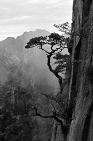 Chine, Huang Shan