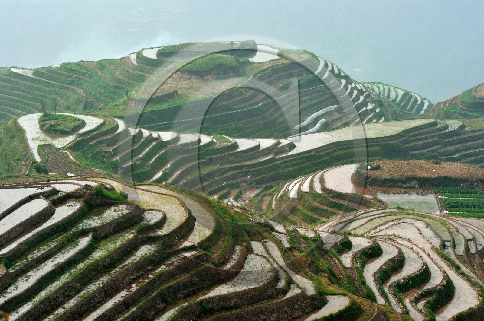 Chine, Longsheng
