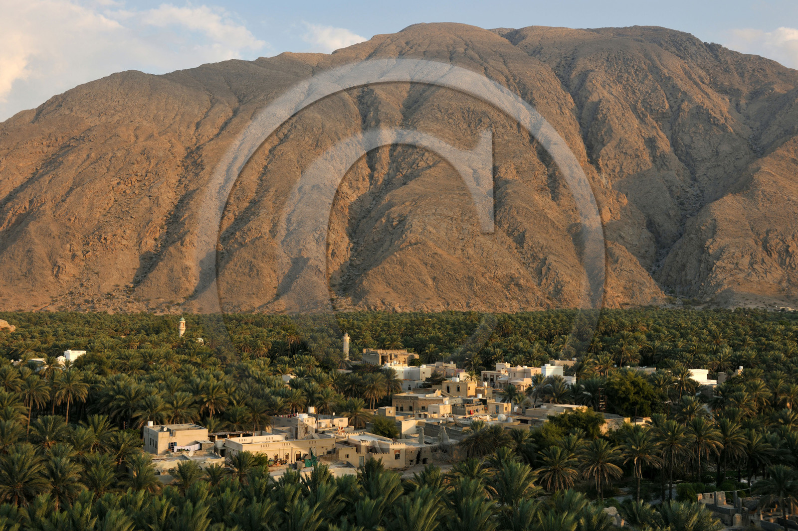 Oman, Nakhl