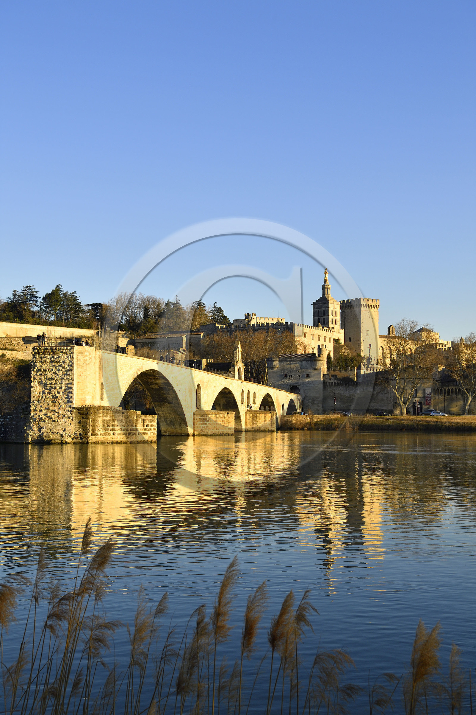 France, Avignon