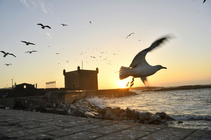 Maroc, Essaouira