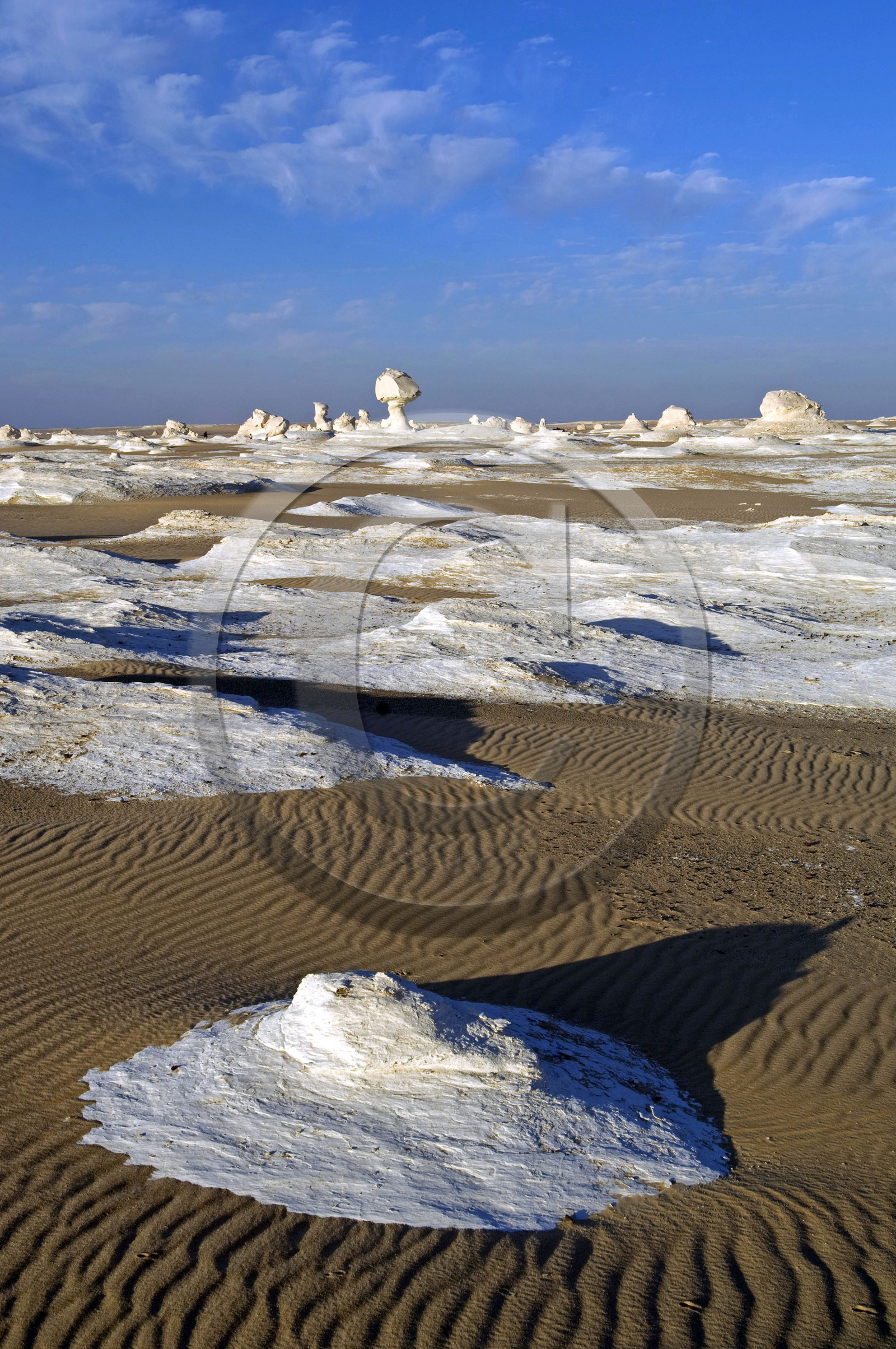 Egypte, désert blanc