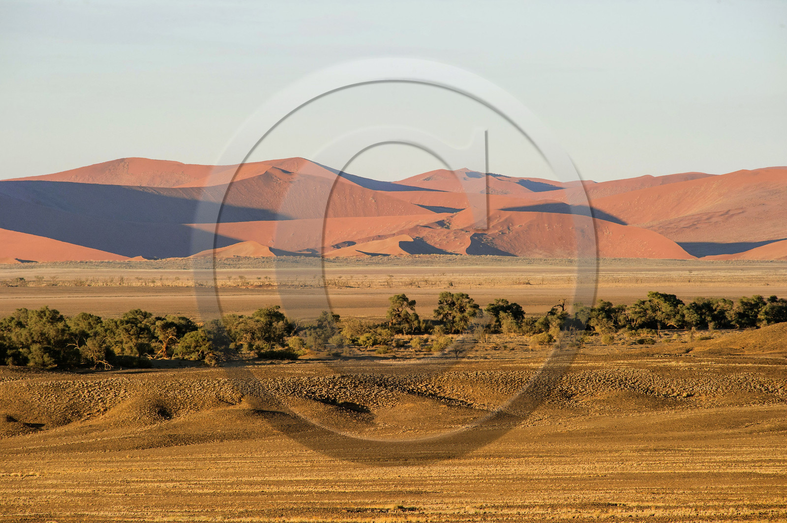 Namibie, Sossusvlei