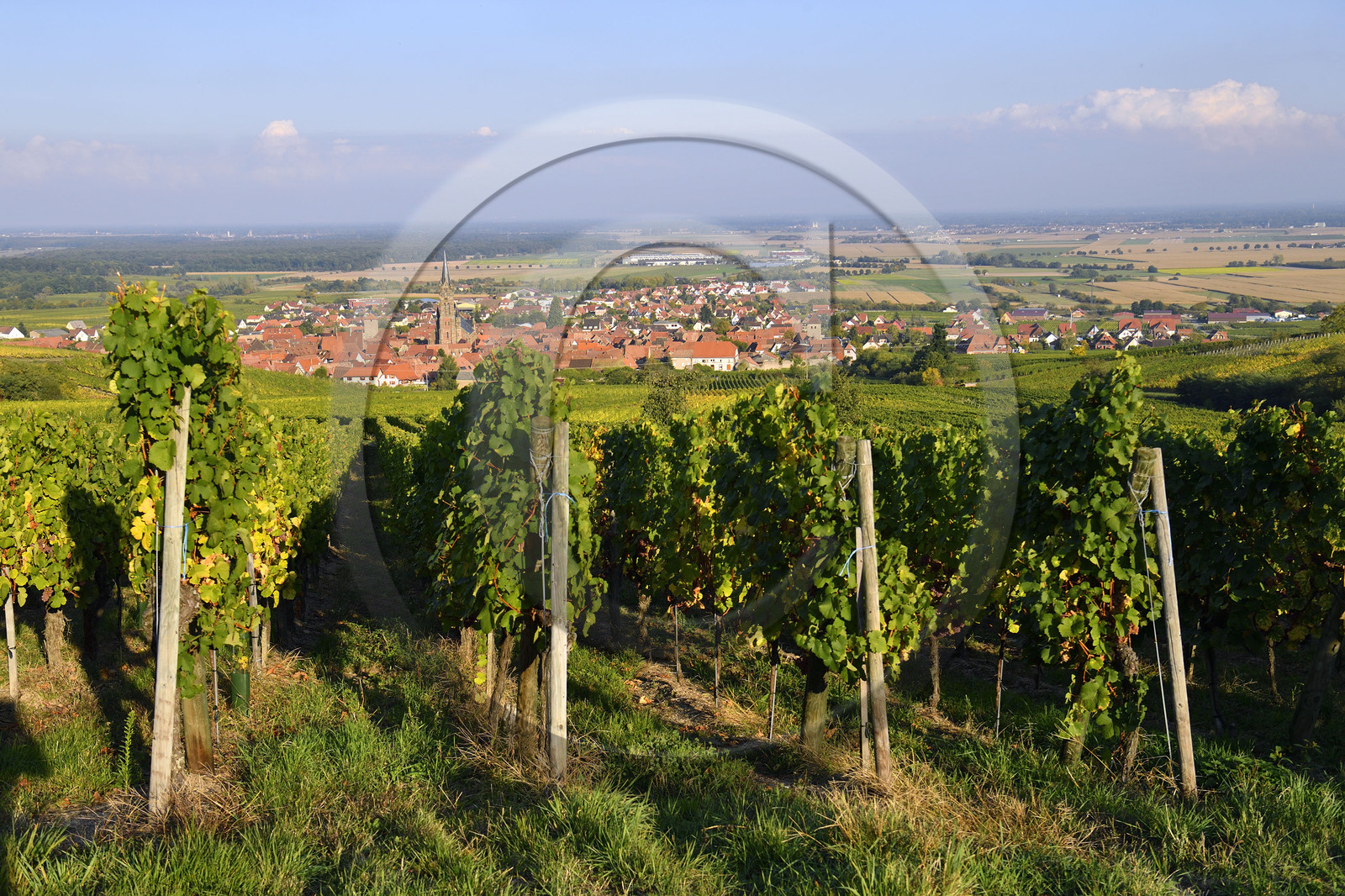 France, Dambach la Ville