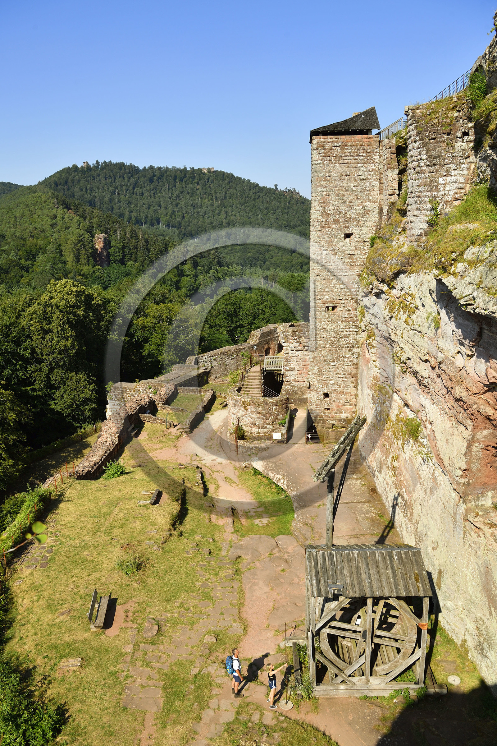 France, Fleckenstein