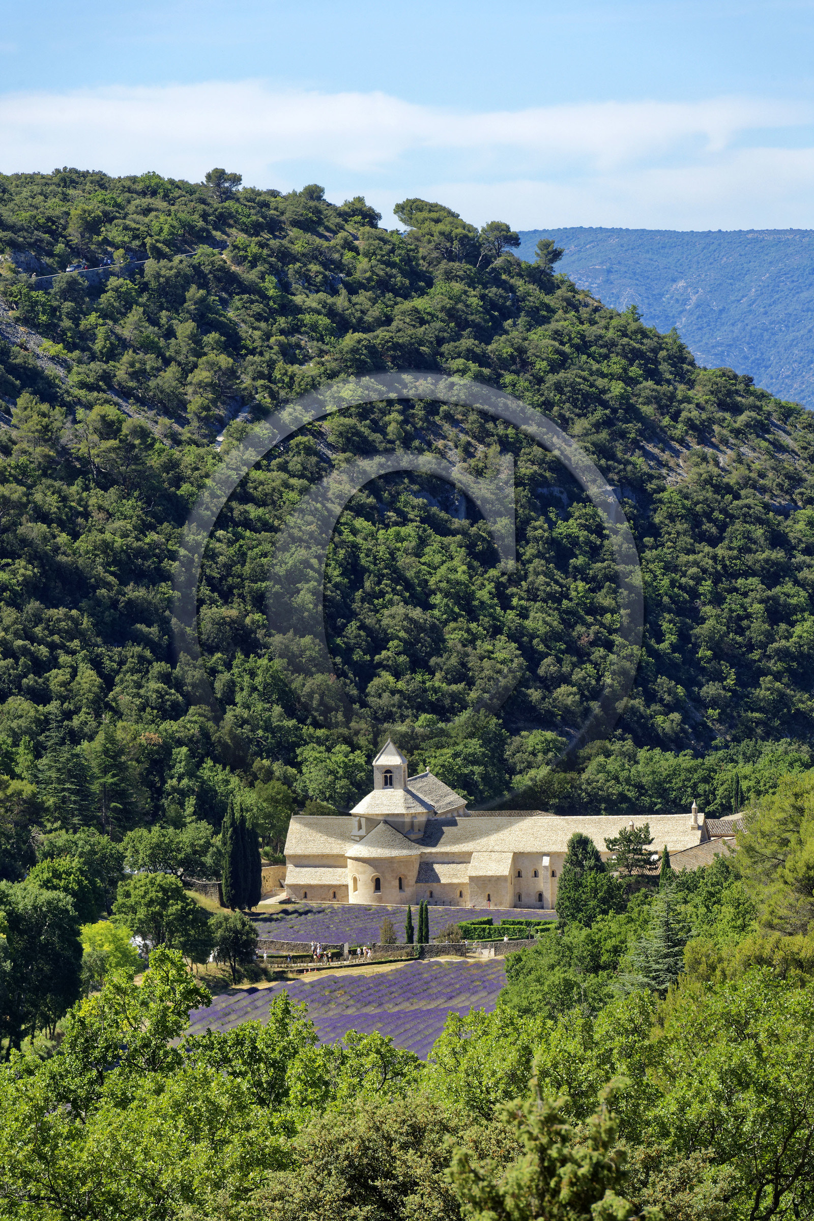 France, Senanque