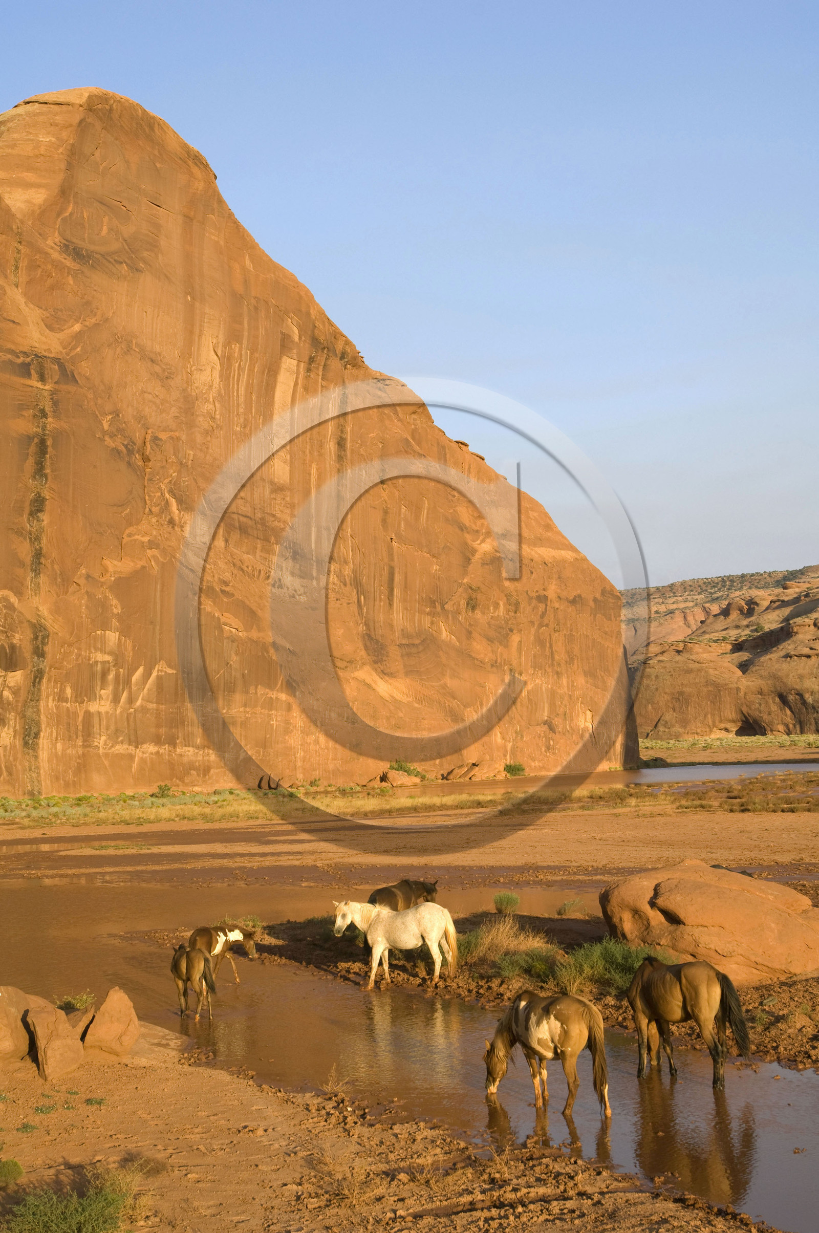 USA, MONUMENT VALLEY