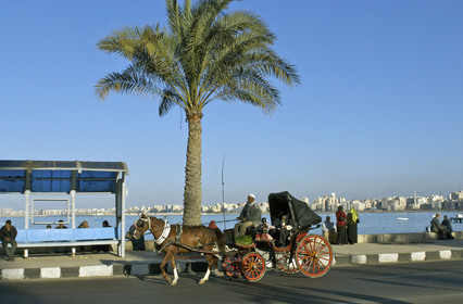 Egypte, Alexandrie