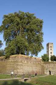Italie, Lucca