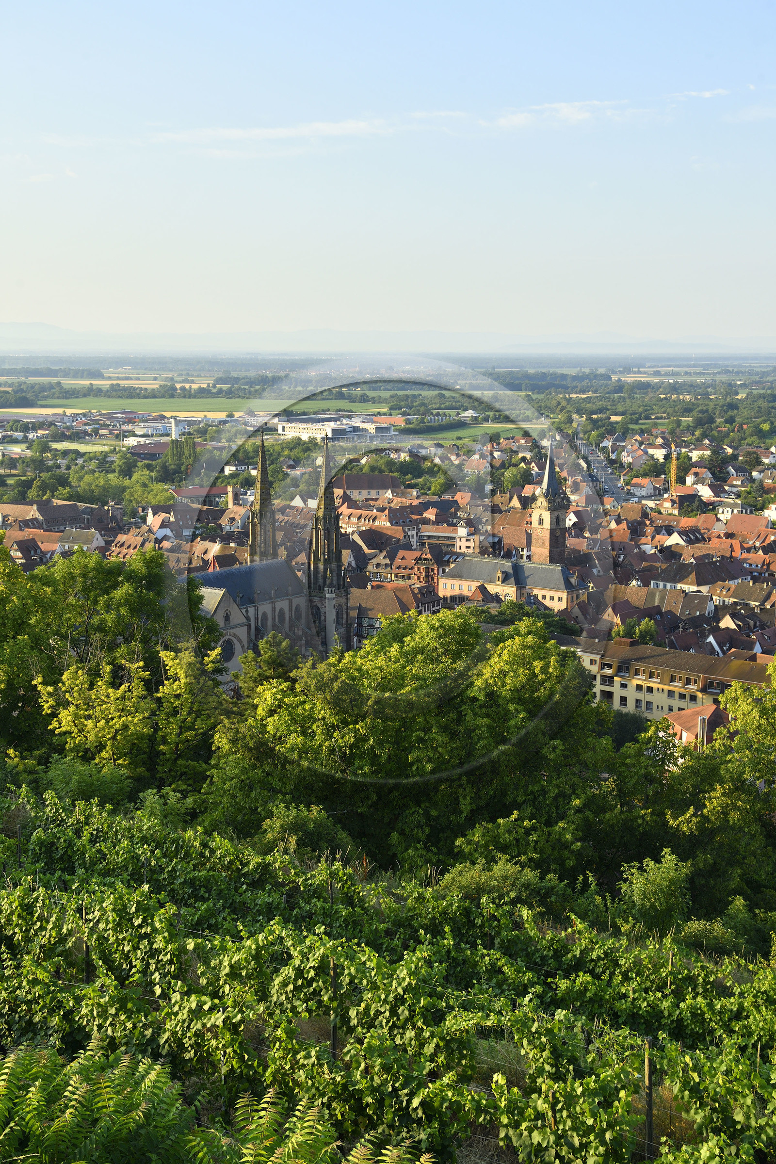 France, Obernai