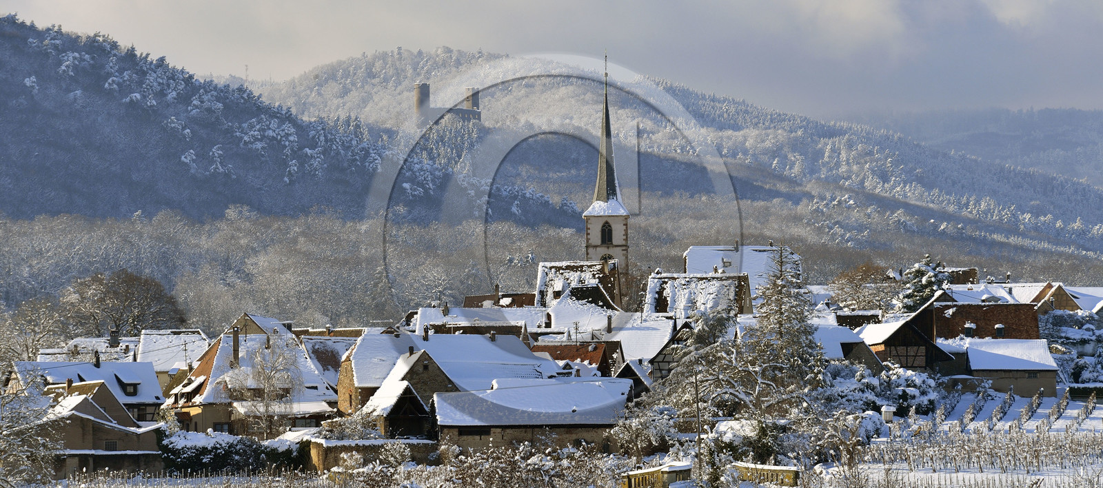 France, Mittelbergheim