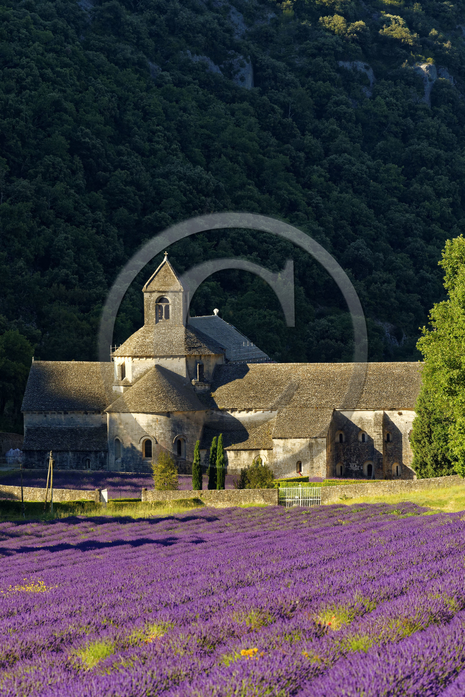 France, Senanque