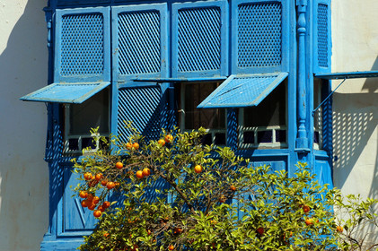 Sidi Bou Said, Tunisie