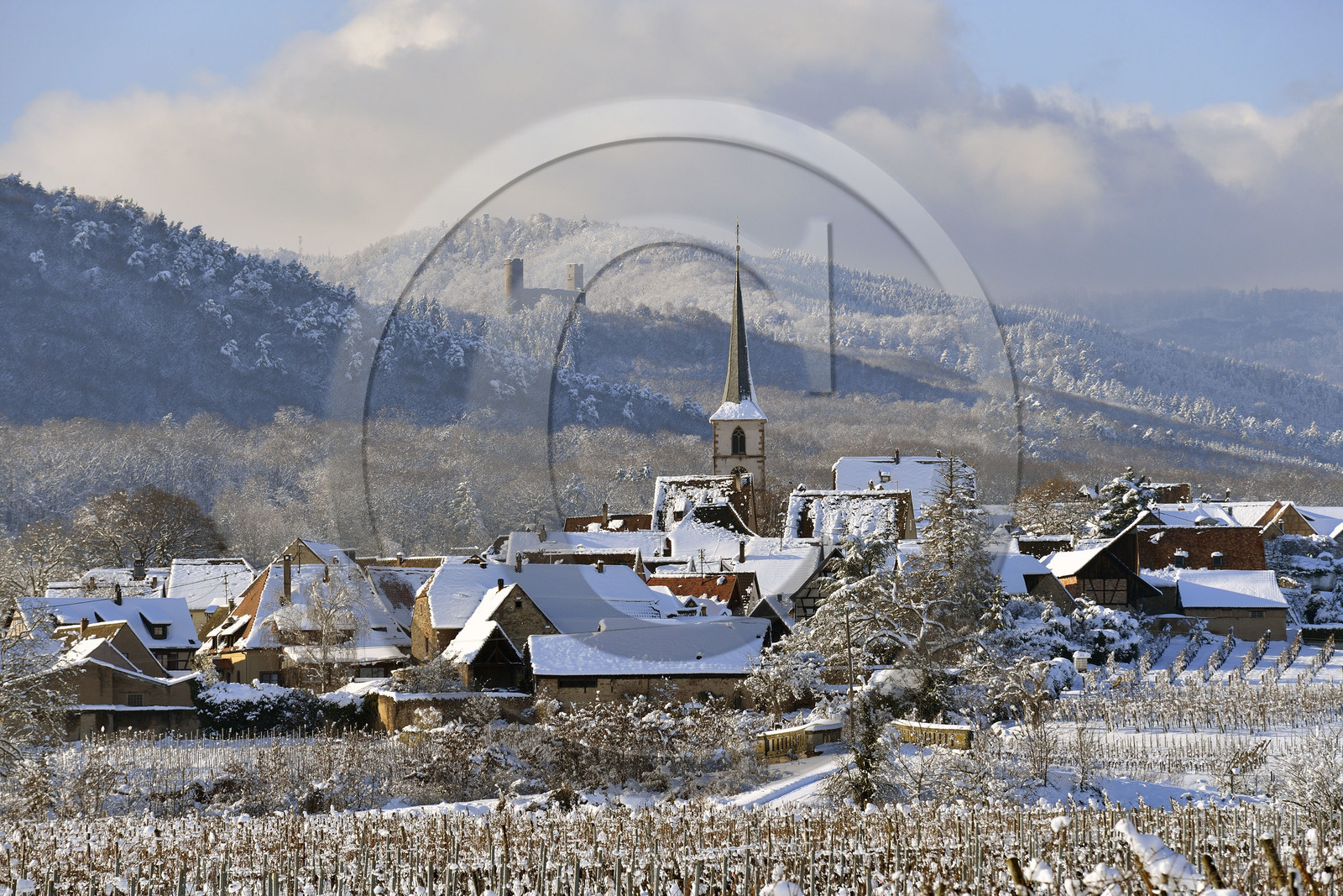France, Mittelbergheim