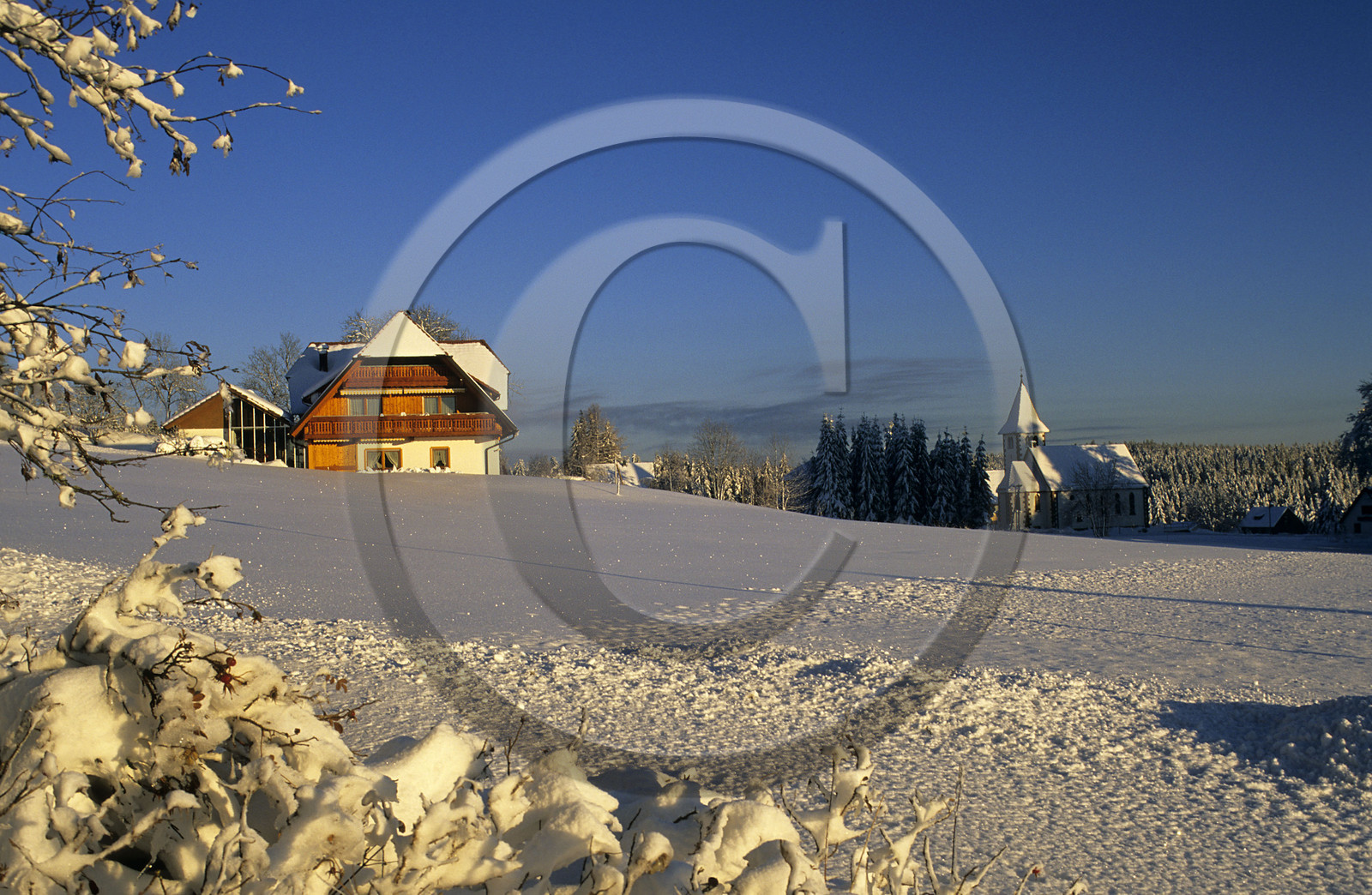 FORET NOIRE. ALLEMAGNE