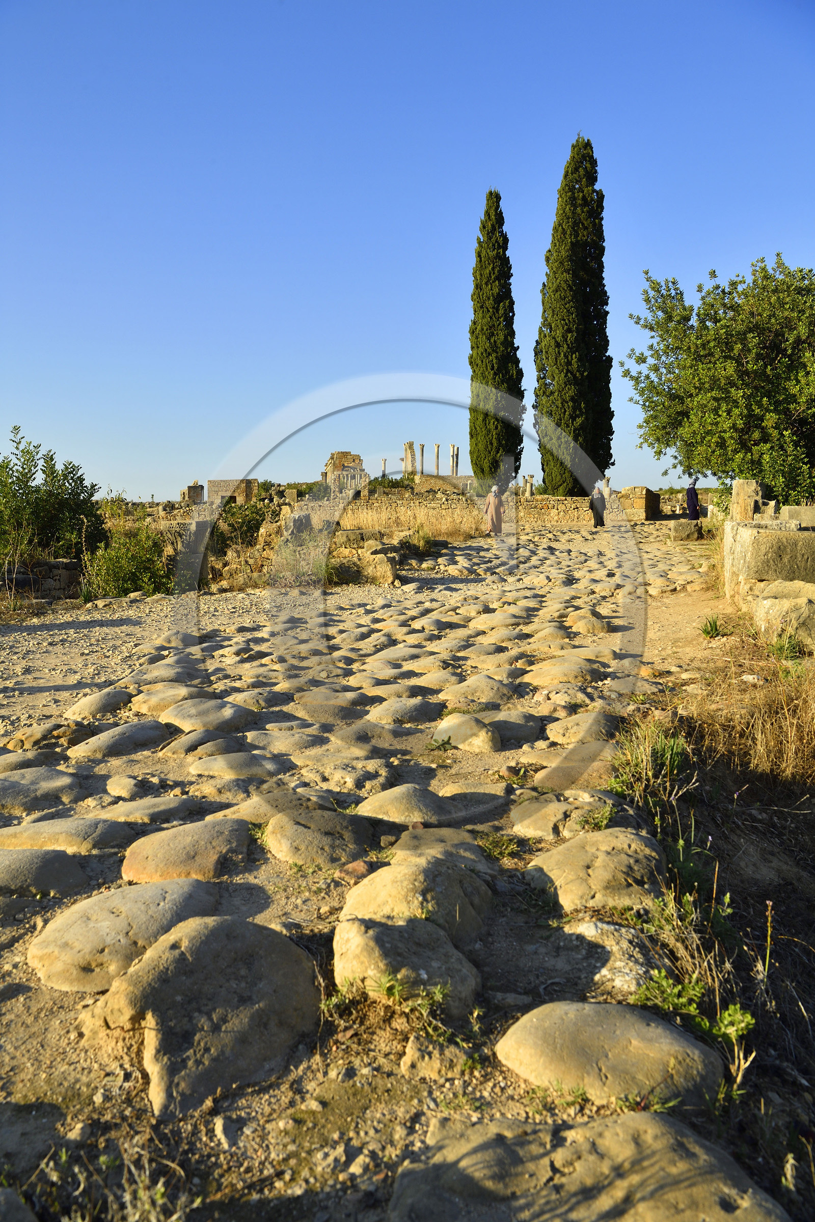 Maroc, Volubilis